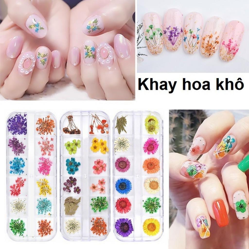 Khay hoa sấy khô trang trí móng BYH062