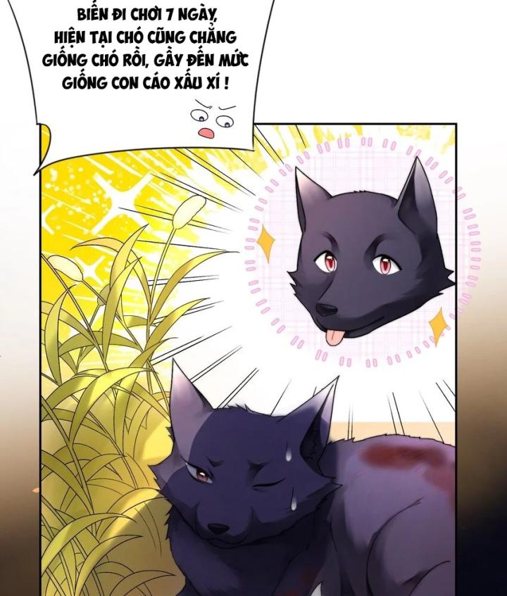 tổng tài bá đạo, đầu óc anh ấy có vấn đề chapter 1 17