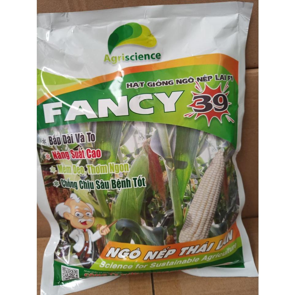 Hạt Giống Ngô Nếp Thái Lan Fancy 39 ( 1 gói 500gran )