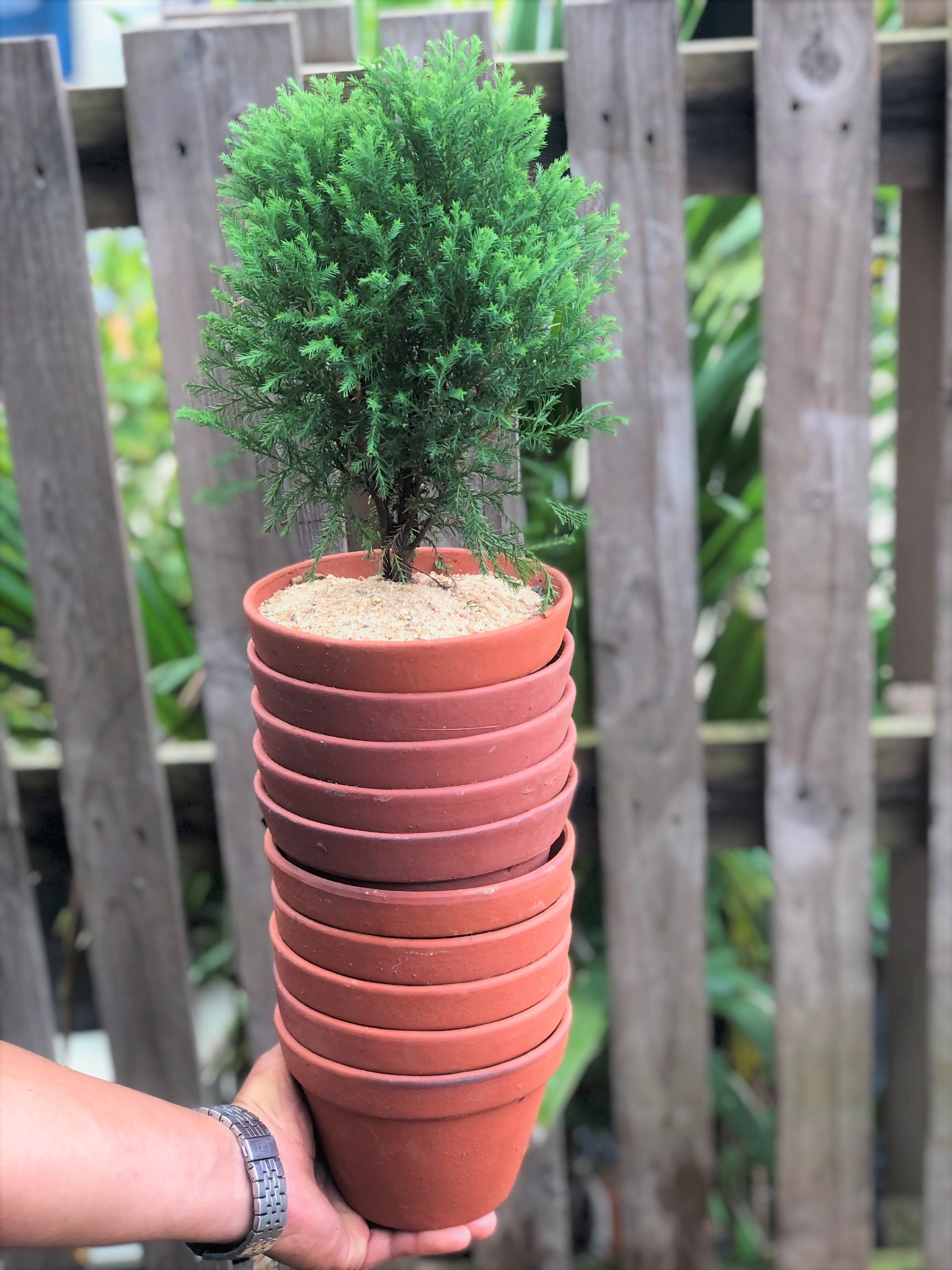 Bộ 10 chậu đất nung trồng lan trồng cây số 3 rộng 15cm x cao 11 cm