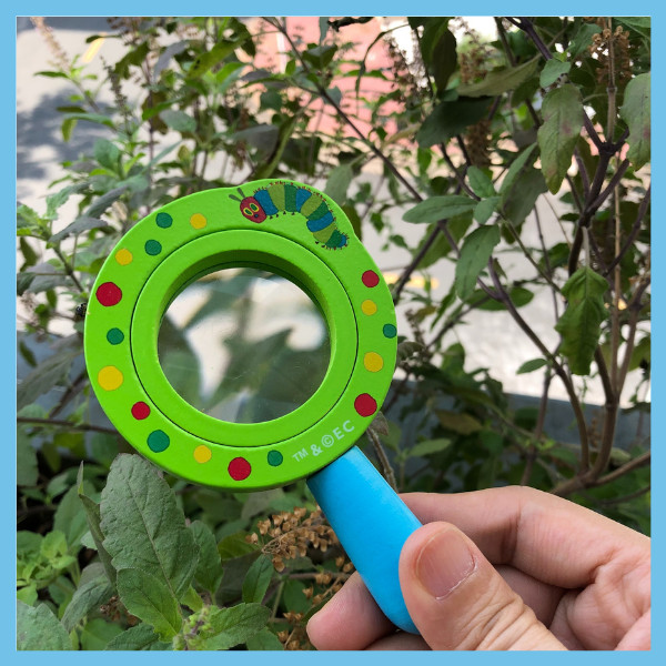 Đồ Chơi Kính lúp Khám phá thế giới - Mideer X Eric Carle Kids Magnifying Glass - MD0112