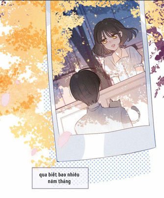 nỗi buồn của hoa cẩm tú cầu chapter 36 3