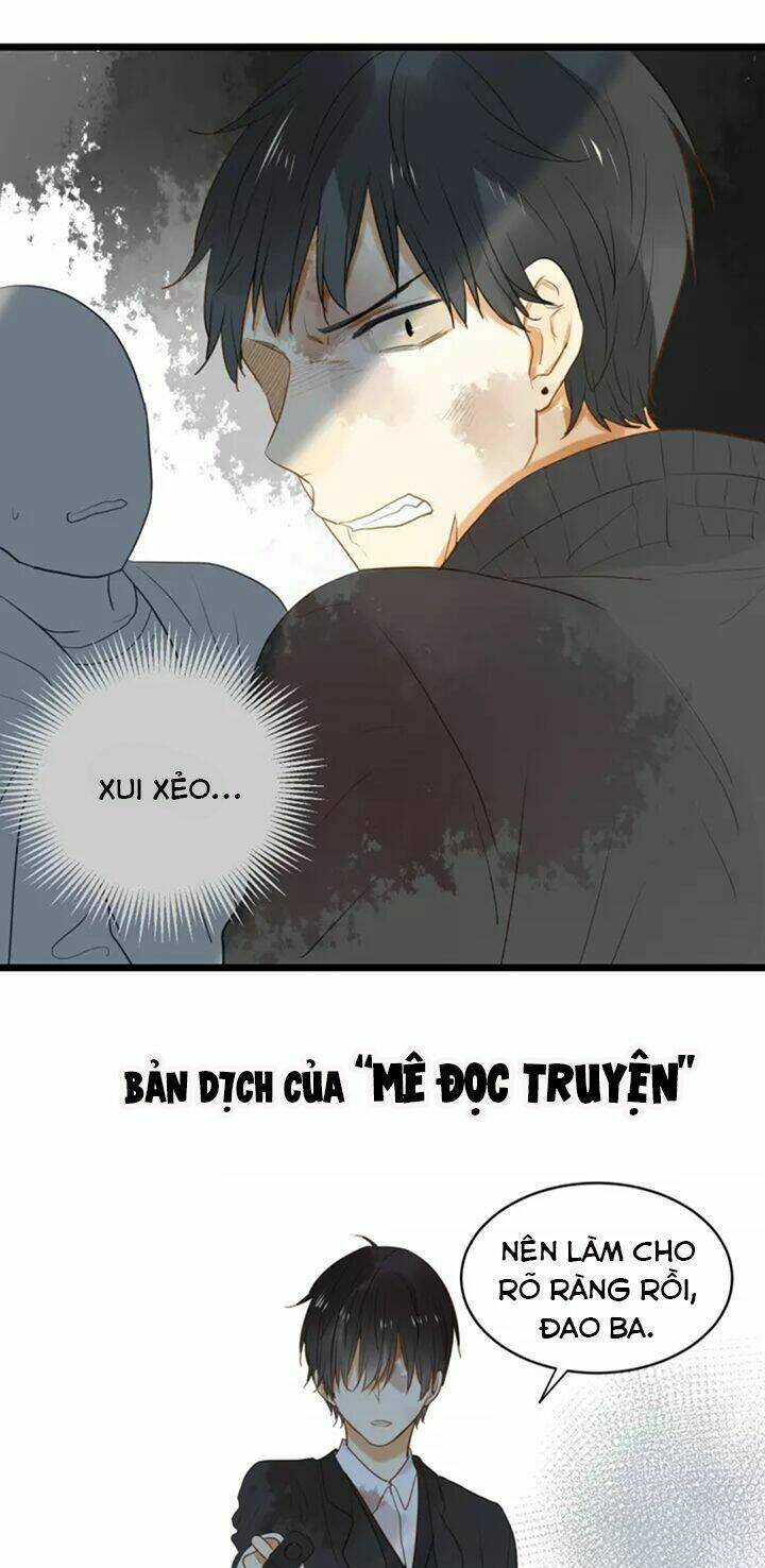 điều giáo quan hệ chapter 26 26