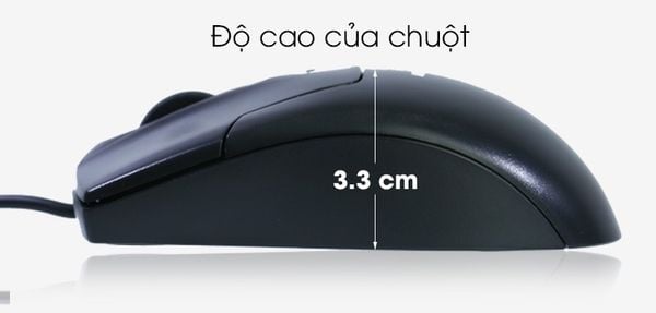 m180-newmen-2_grande.jpg