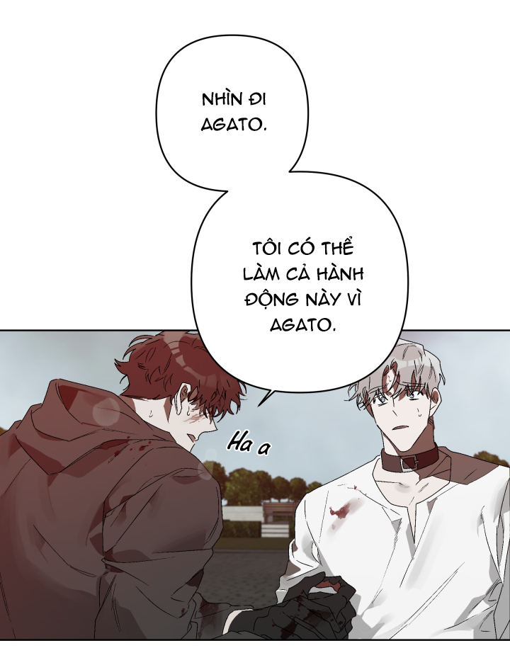 trái ngọt nơi đầu lưỡi chapter 6 42