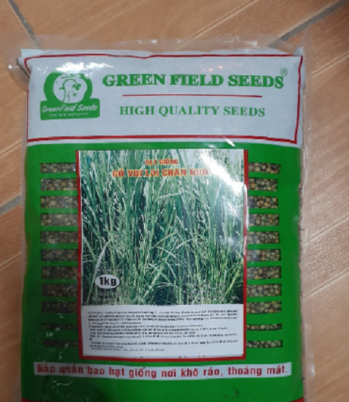 Hạt giống cỏ voi 1kg