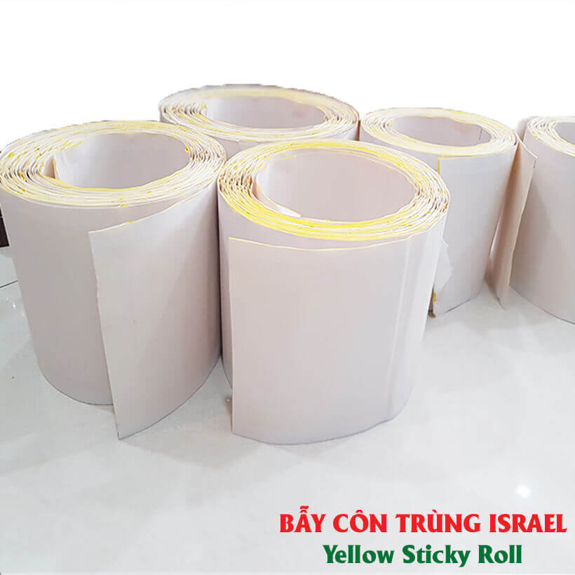 Bẫy Ruồi Nông Nghiệp gây hại Rau Hoa Củ Quả đạt hiệu quả 90% bằng Cuộn Keo Dính Vàng 2 mặt keo , thời gian hiệu lực trên 8 tháng chịu mưa nắng