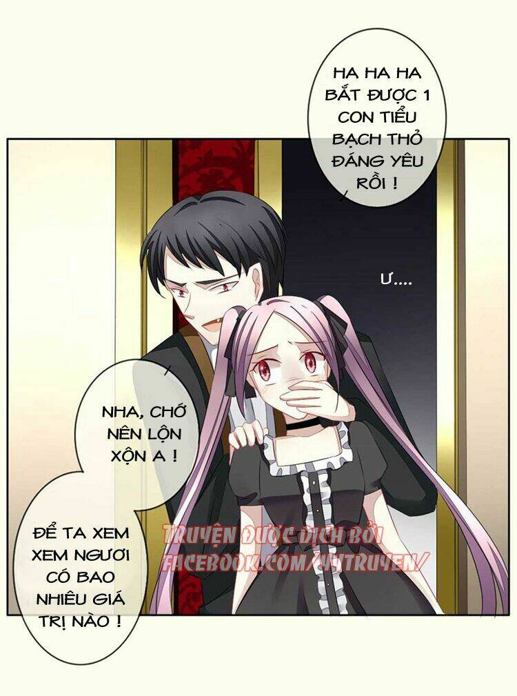 vị hôn thê bỏ trốn chapter 67 19