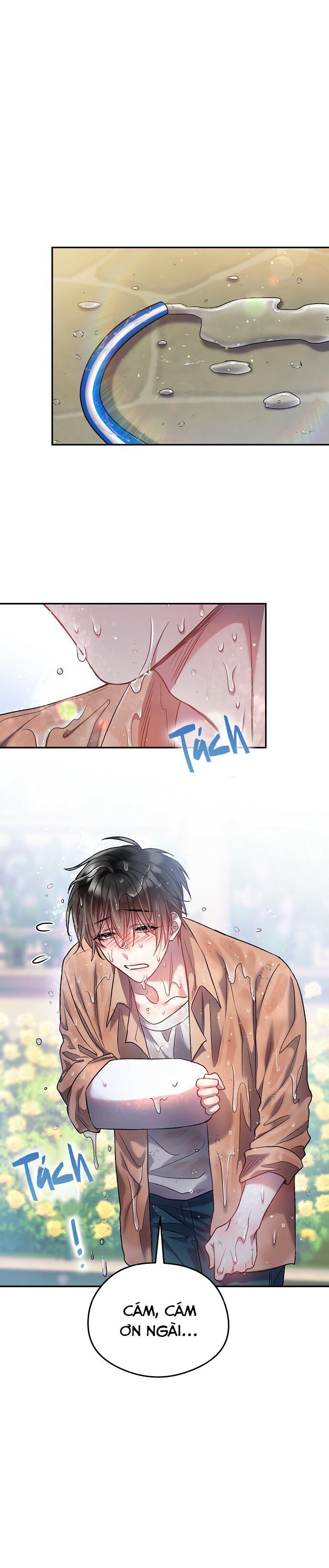 cơn mưa mật ngọt chapter 11 17