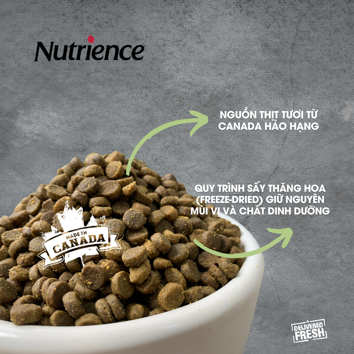 Thức Ăn Cho Mèo Con Khỏe Mạnh Nutrience Infusion Bao 2.27kg - Thịt Gà, Rau Củ Và Trái Cây Tự Nhiên