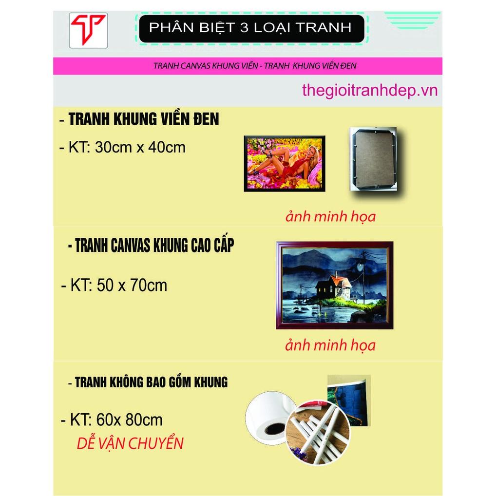 Tranh treo tường danh lam thắng cảnh Việt Nam, tranh màu sắc nghệ thuật trang trí