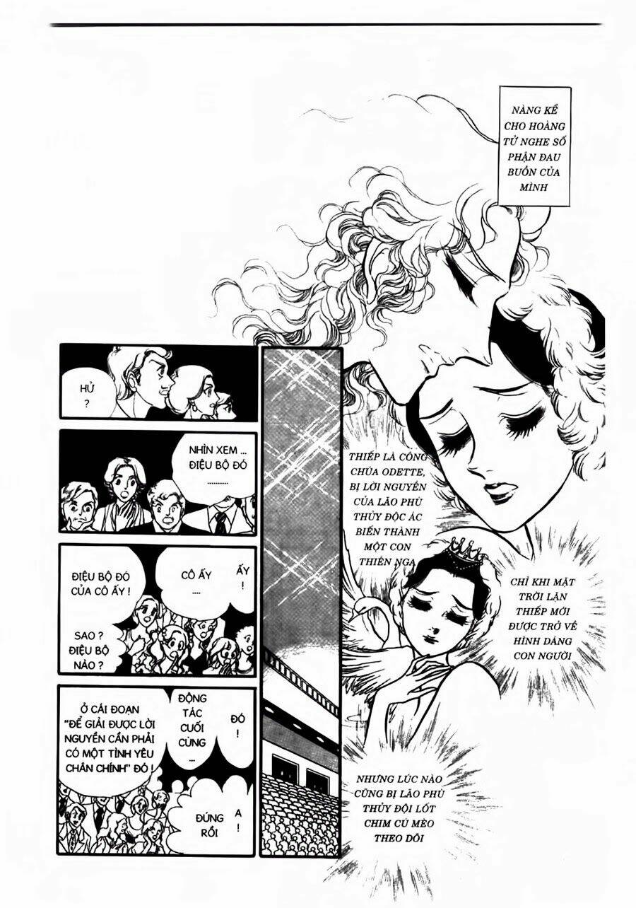 swan - vũ khúc thiên nga chapter 45 9