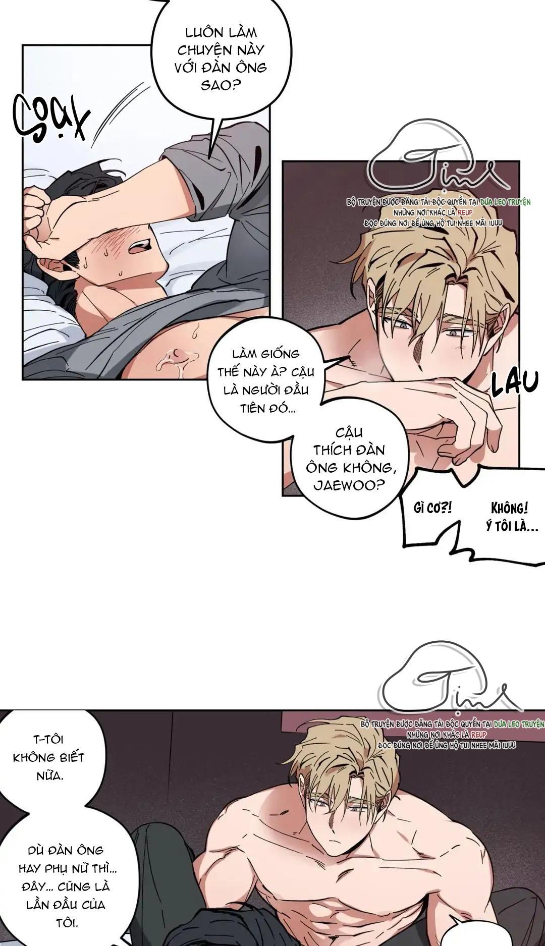 love plan chapter 3 8