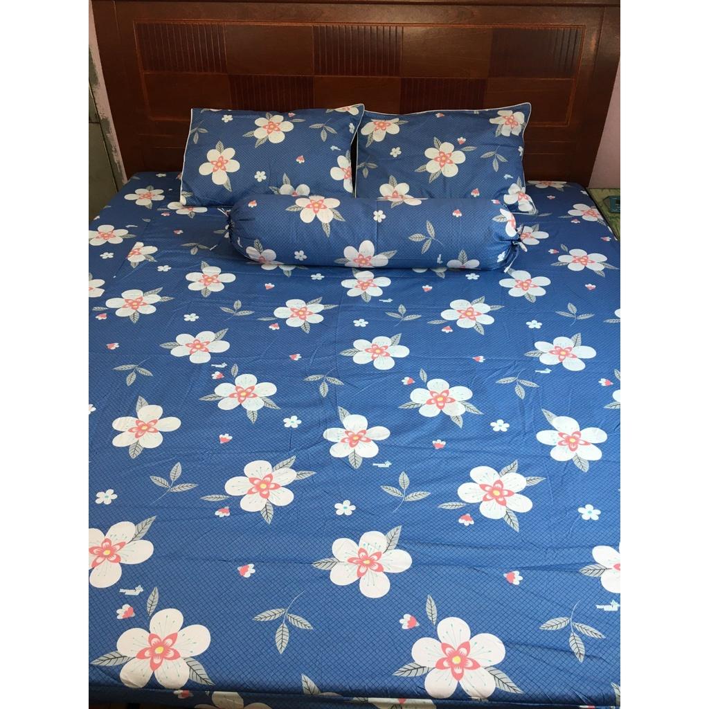 Bộ Drap Cotton THẮNG LỢI 4 món /