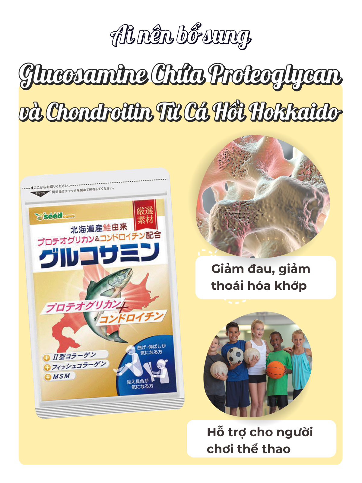 Viên Uống Bổ Xương Khớp Glucosamine Chứa Proteoglycan và Chondroitin Từ Cá Hồi Hokkaido Seedcoms Nhật Bản