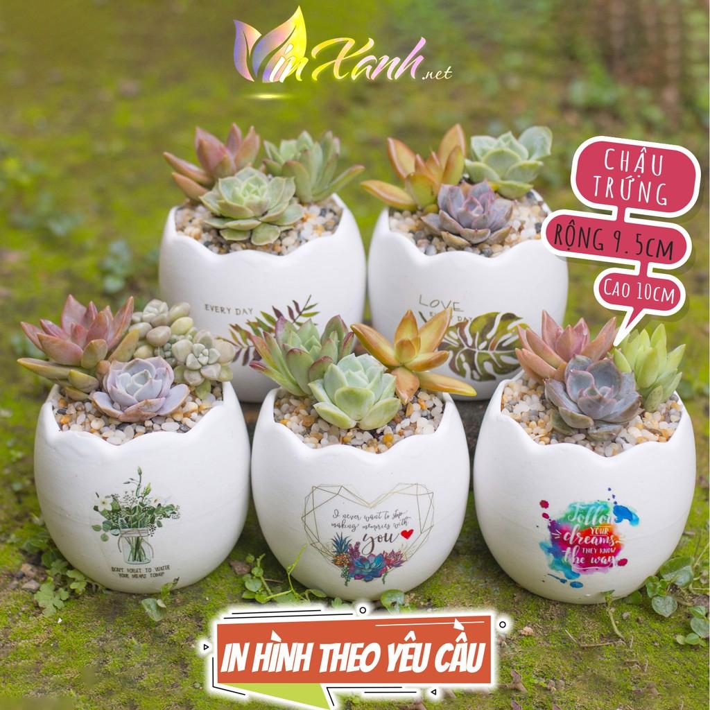 Chậu sứ trồng cây cảnh mini để bàn 9-13cm hình quả trứng/ chậu trứng