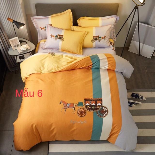 Bộ cotton oragnic 4 món màu sắc mới