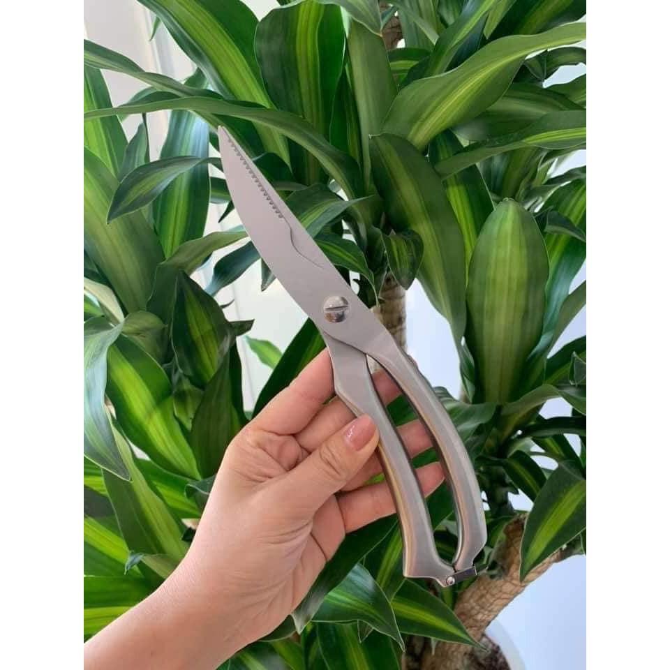 Kéo cắt gà inox xuất Nhật siêu tiện dụng