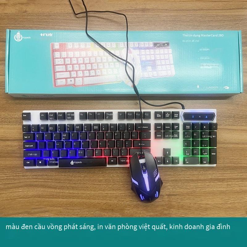 Phong cách mới nhất của máy tính bàn phím có dây dạ quang văn phòng tại nhà đèn nền bàn phím chuột usb cài đặt và giao hàng