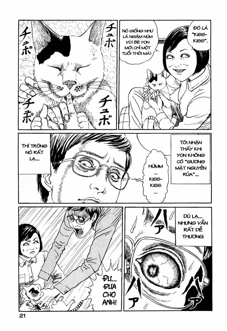 ito junji cat's diary chapter 2 9