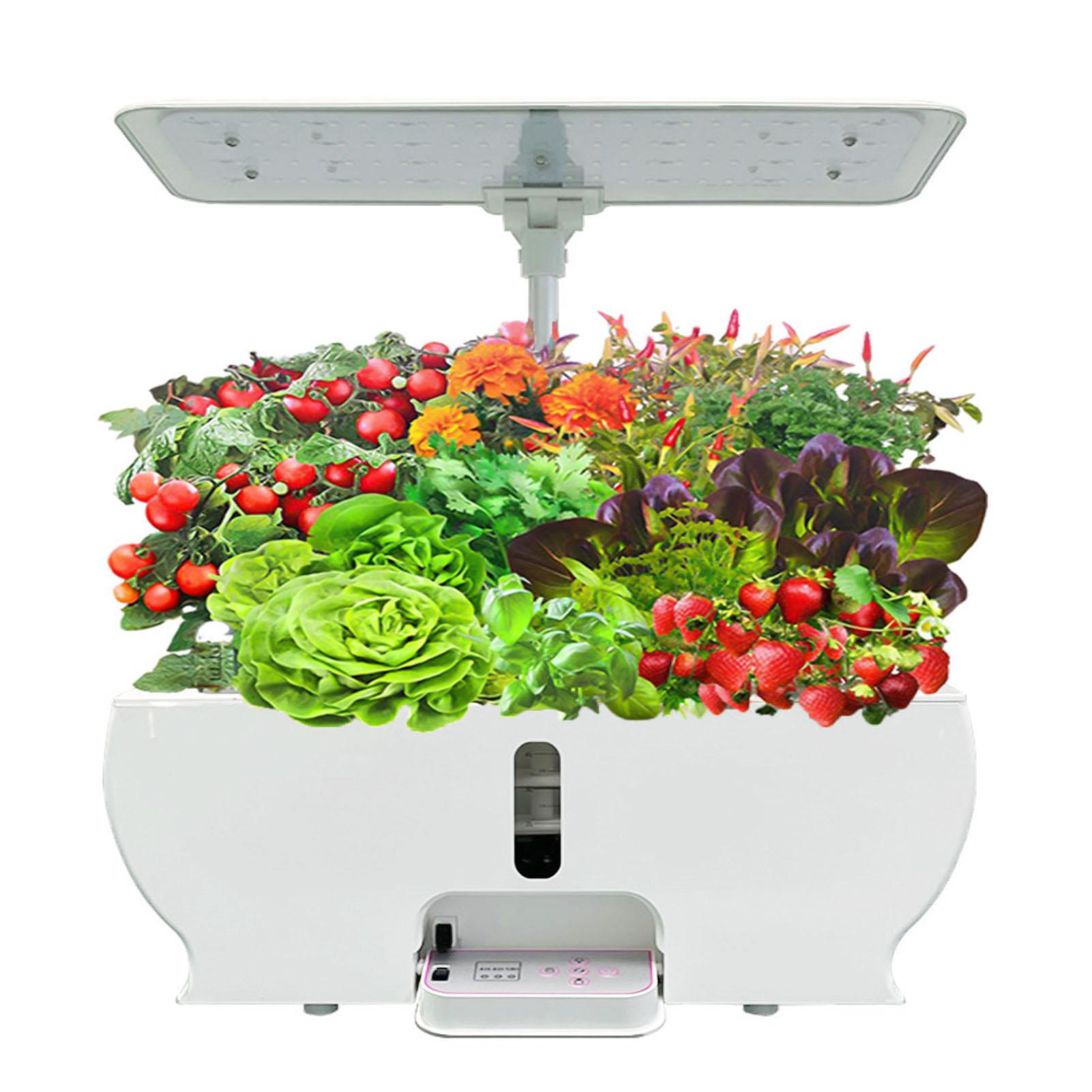 Hệ thống thủy canh thông minh trong nhà có đèn LED giúp cây tăng trưởng tốt