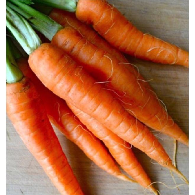 Hạt giống cà rốt chịu nhiệt-gói 100 hạt/tặng kèm gói phân bón lót