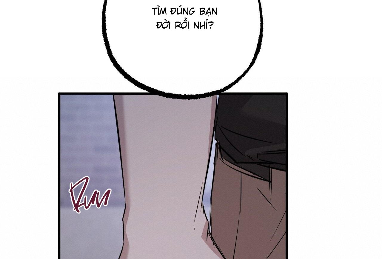 những chú thỏ của hapypy chapter 59 174