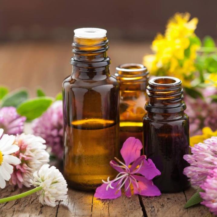 10 Vỏ chai tinh dầu nhỏ giọt 10ml 20ml 50ml nắp đai lớn loại tốt