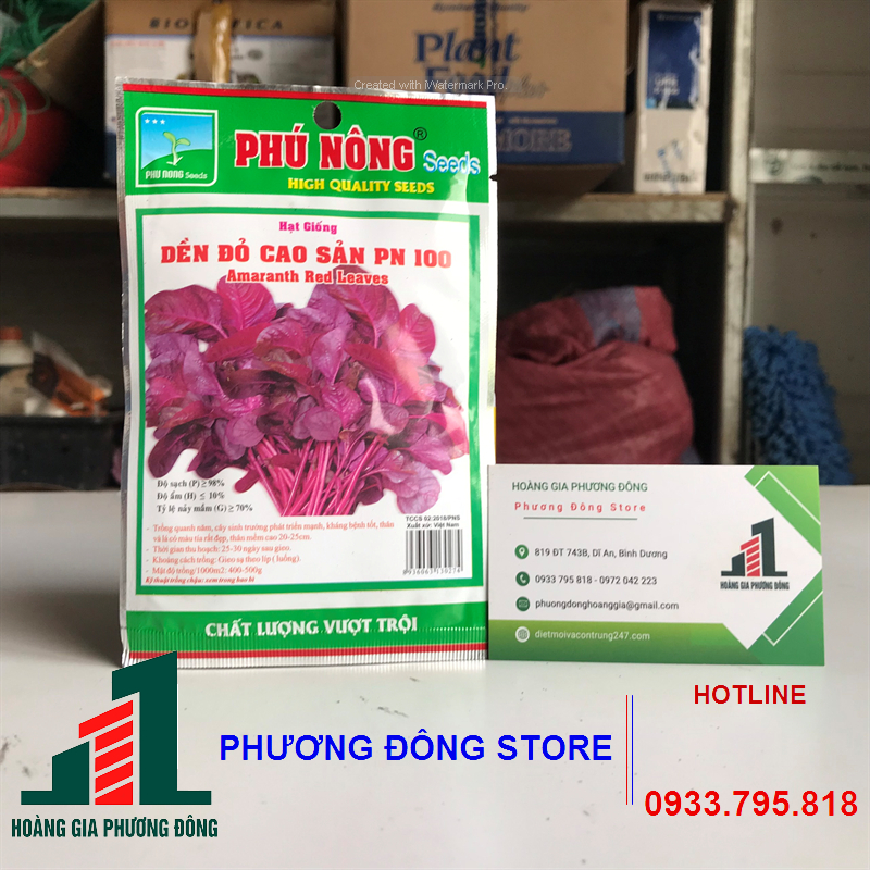 Combo 5-10 gói hạt giống rau dền đỏ chịu nhiệt, năng suất cao