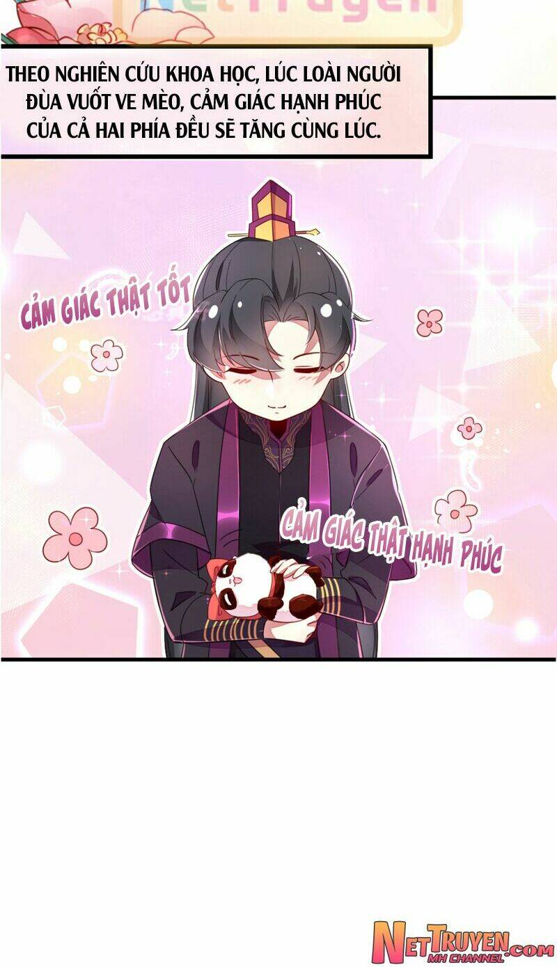 thiên thần gấu trúc muốn được ôm chapter 25 13