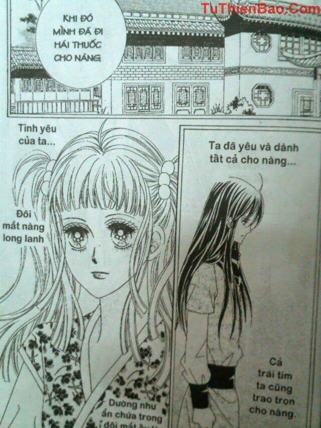 tình trong mộng chapter 8 28