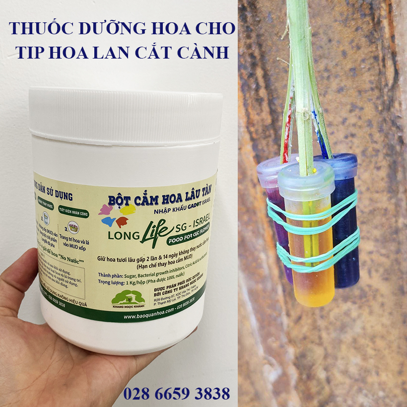 100 ỐNG CHỨA NƯỚC CẮM HOA 5CM THUỐC DƯỠNG HOA TƯƠI LÂU VÀ VẬN CHUYỀN HOA ĐI XA