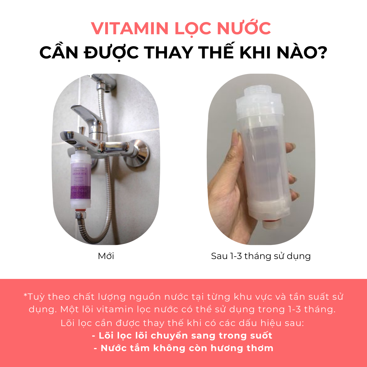 [Kèm quà tặng] Bộ Lõi Lọc Nước Vòi Hoa Sen Vitamin C Daily Aqua - Combo 4 Mùi Hương