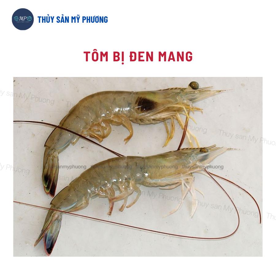 Xử lý nước ao bị bọt đục lợn cợn kim loại nặng phát sáng Clear Pon trước thả giống sạch mang tôm thẻ cá lươn ếch ốc baba