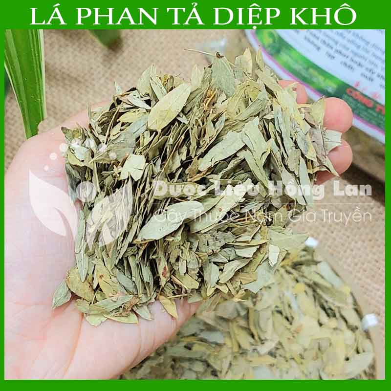 Lá Phan Tả Diệp khô 500gram