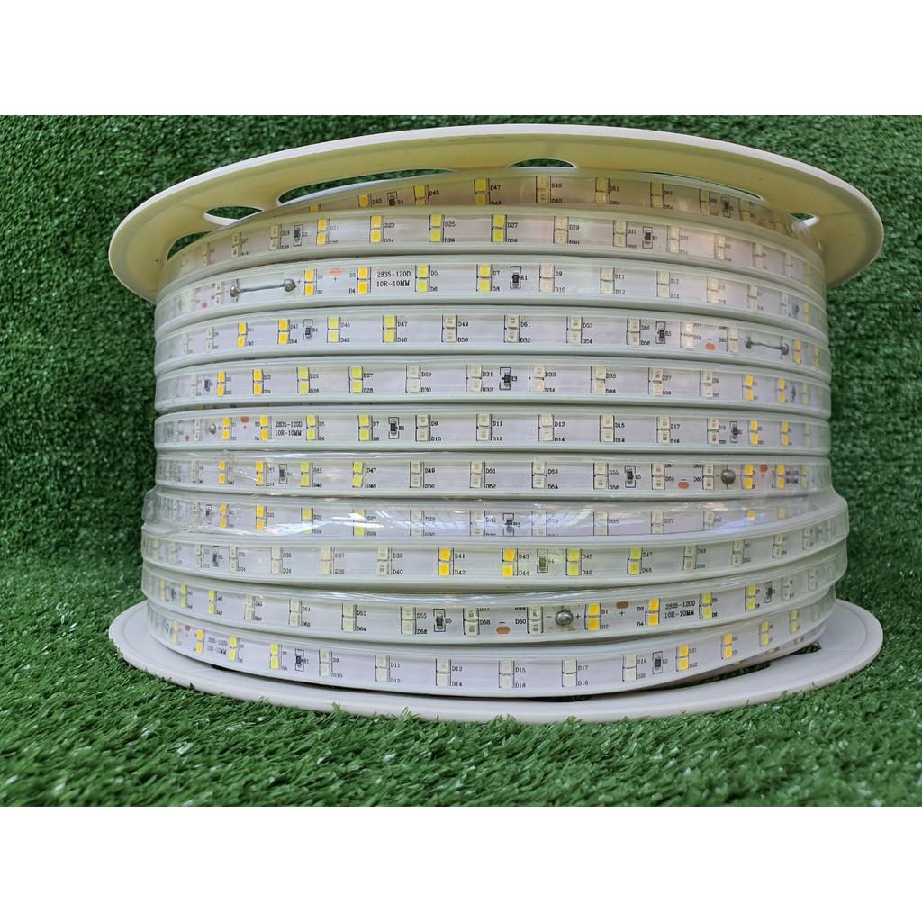 Cuộn LED dây đôi 2835 - 100m - hắt trần thạch cao , trang trí nội ngoại thất, quấn cây ngoài