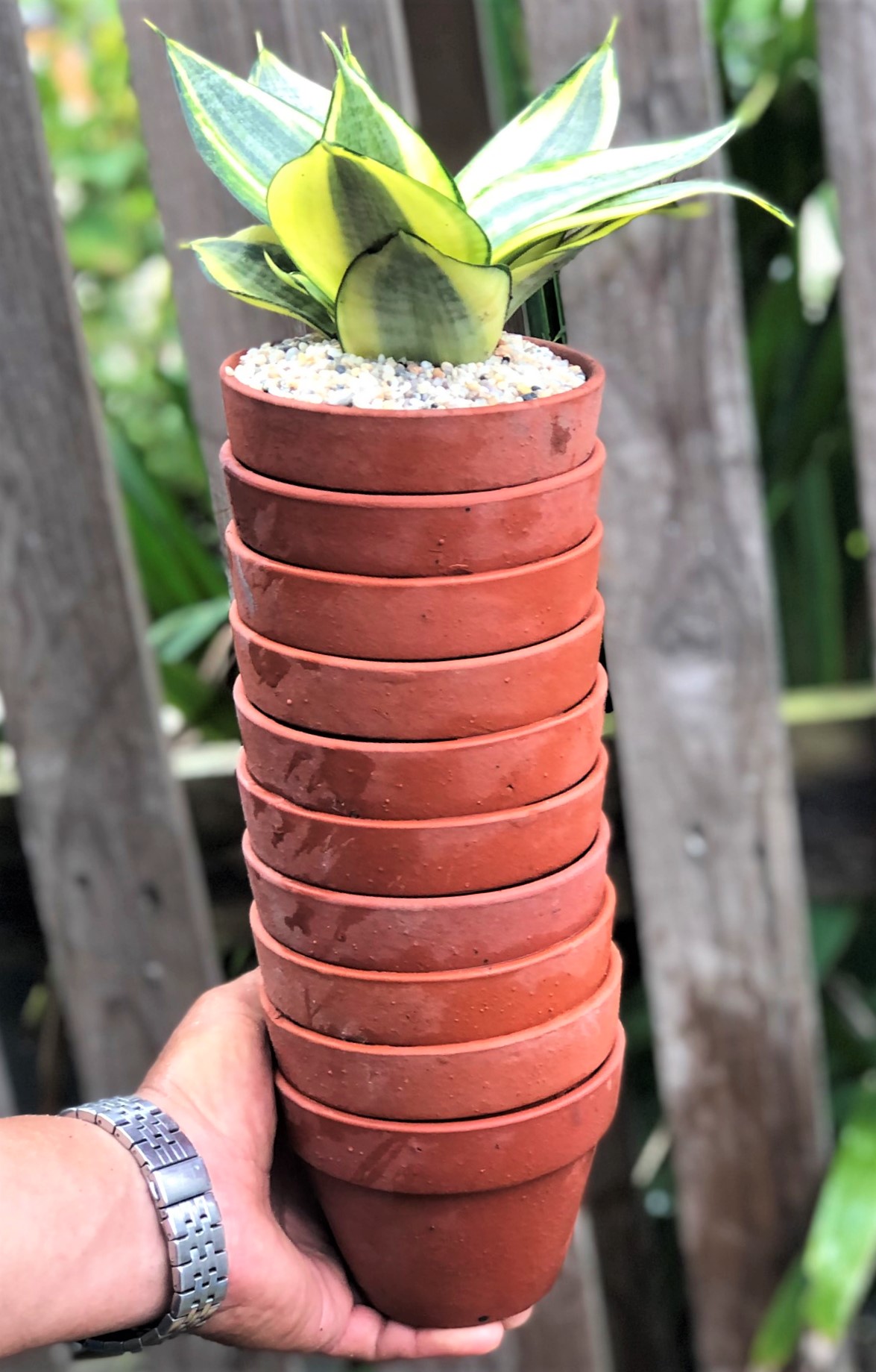 Bộ 10 chậu đất nung trồng lan, trồng cây số 4 rộng 11 cm x cao 8 cm