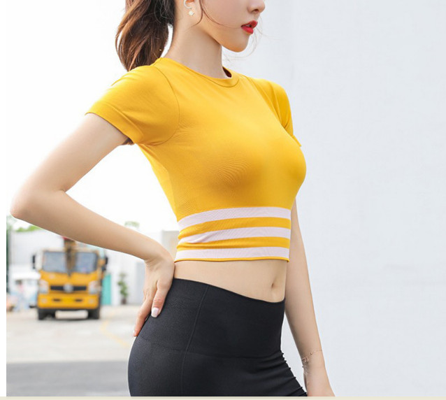 Áo Tập Thể Thao Gym Yoga Nữ Azuno AZ2050  Dáng Croptop Chất Liệu Cotton Mát Thấm Mồ Hôi Tốt