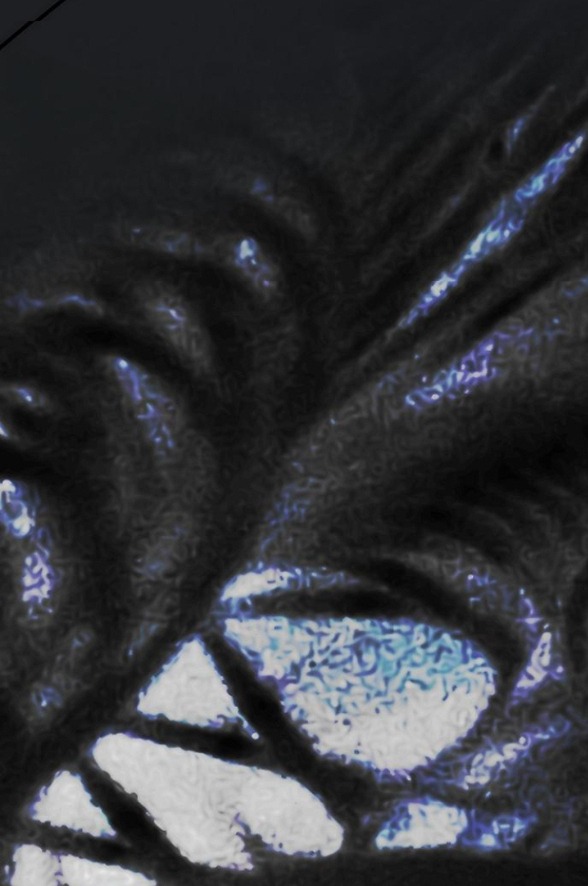 xâm nhập trường trung học tài phiệt chapter 83.2 60