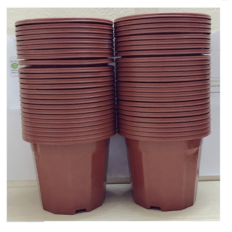 50 Chậu Nhựa Trồng Hoa, Cây Cảnh E230 CN