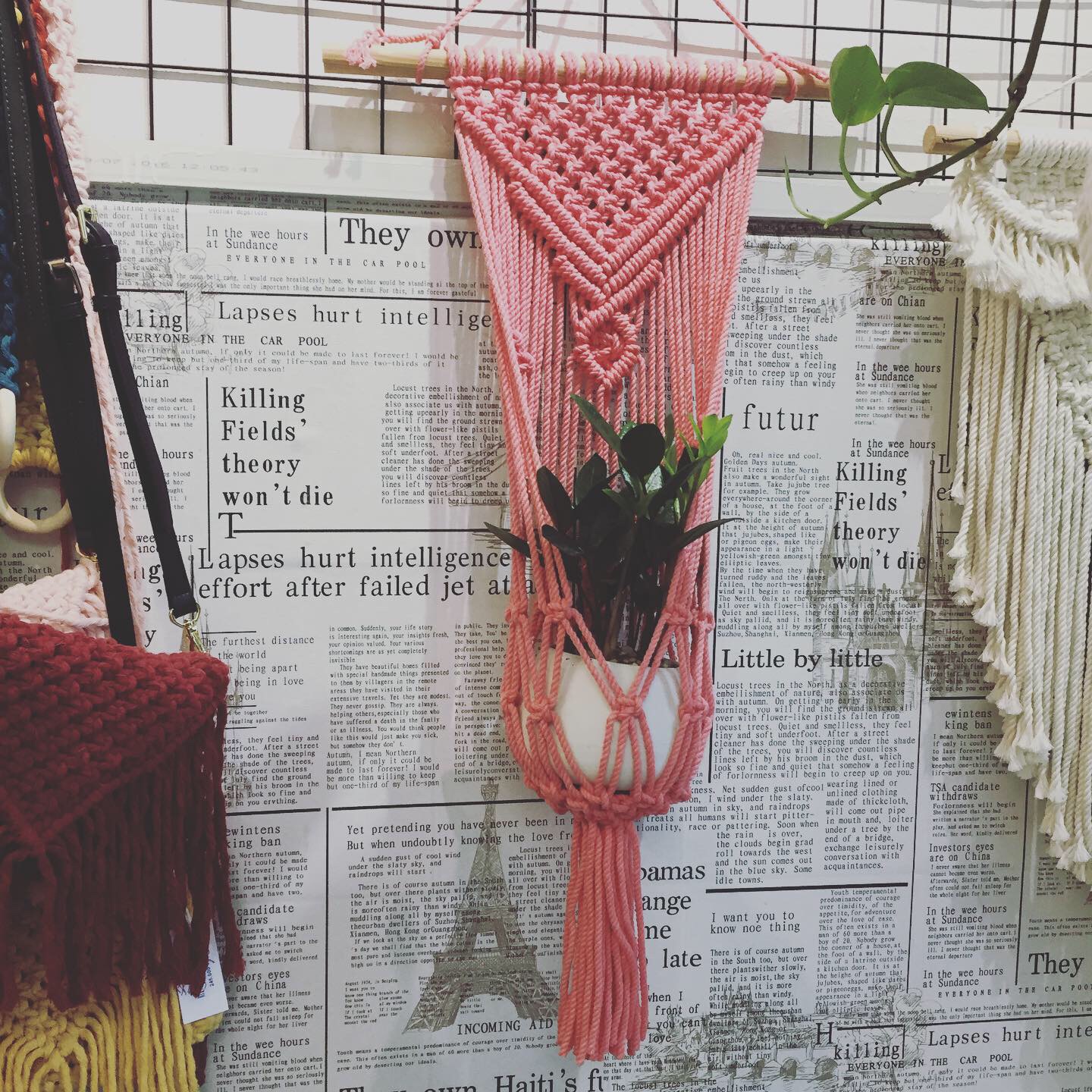 Macrame Treo Cây Apink