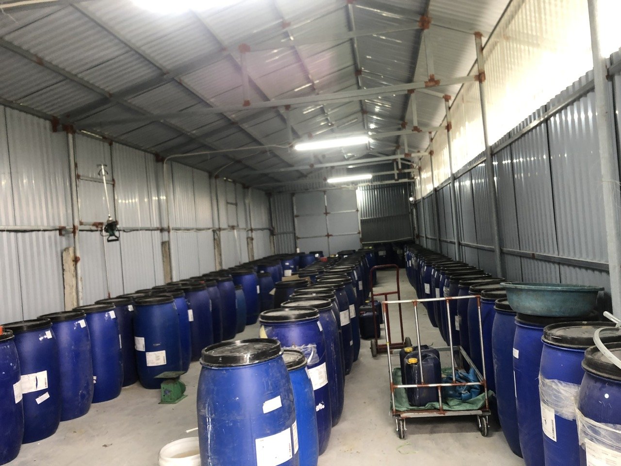 ĐẠM CÁ NGUYÊN CHẤT GIÁ XƯỞNG 3F – RAU SẠCH, TRÁI NGỌT, XANH LÁ MẤP THÂN, BÊN CÂY, TỐT ĐẤT.