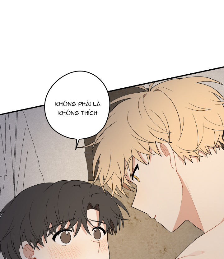 đường hoa liên kiều rơi chapter 15 28