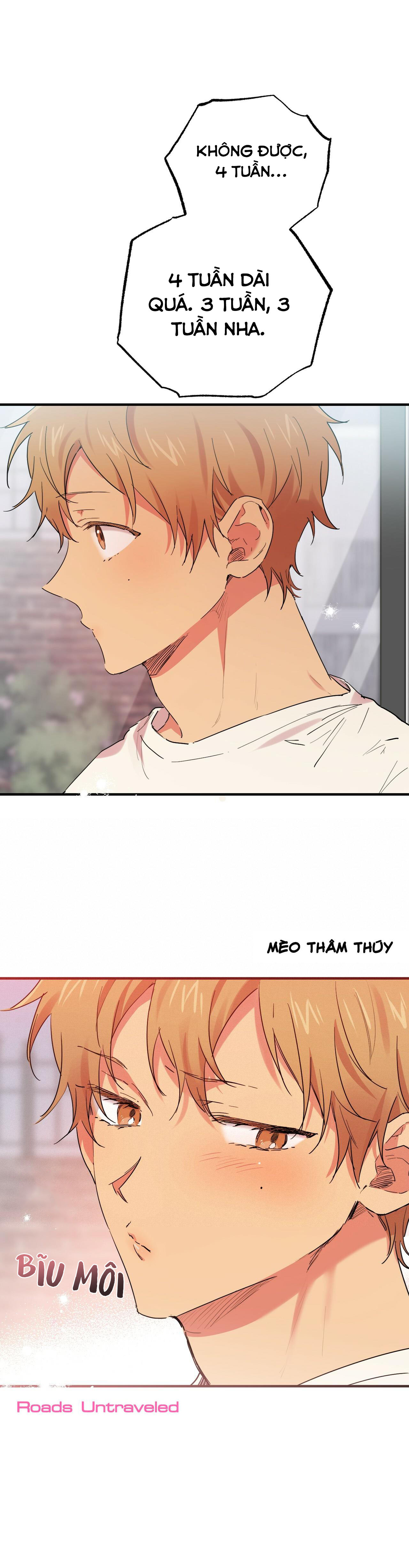 đàn thỏ của habibi chapter 10 5