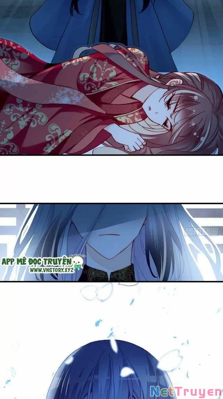 lại bị bệnh chiều chuộng quấn lấy chapter 6 36