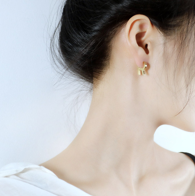 Bông Tai Nam Nữ Unisex Hình Chữ R Titan Ko Han Rỉ TT 3923 – 1 Cặp