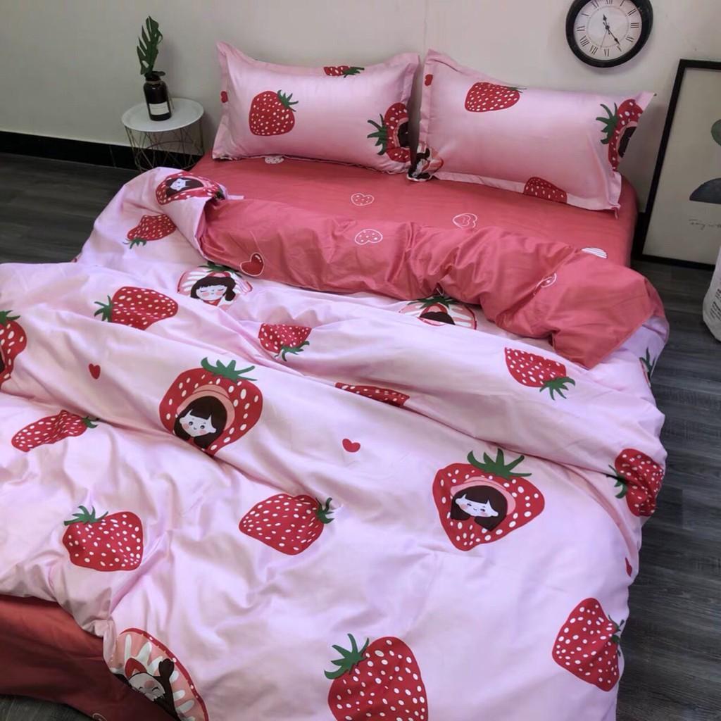 Combo 2 bộ cotton poly + 1 ruột gối eviko xịn