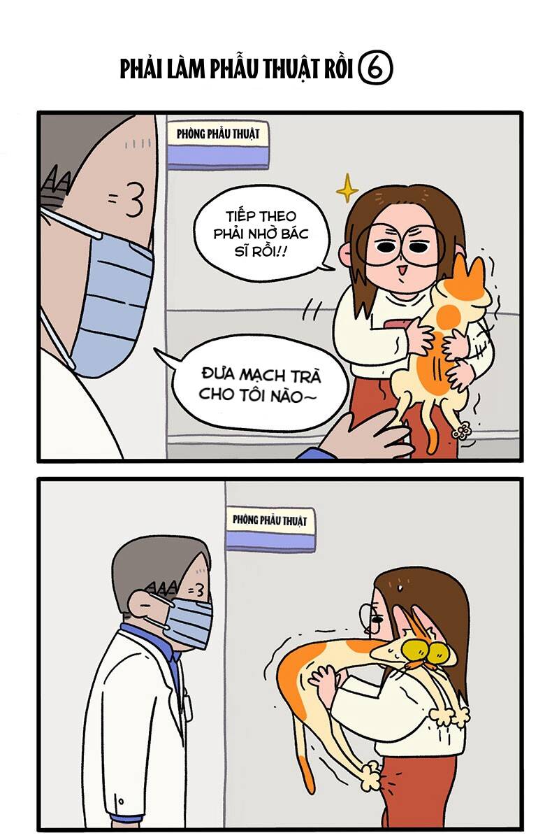 a mãn và mạch trà chapter 13.1 5