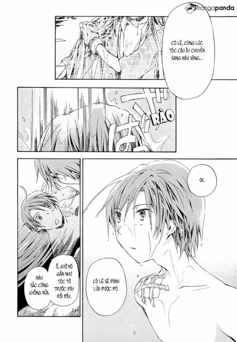 amagoi chapter 11 19