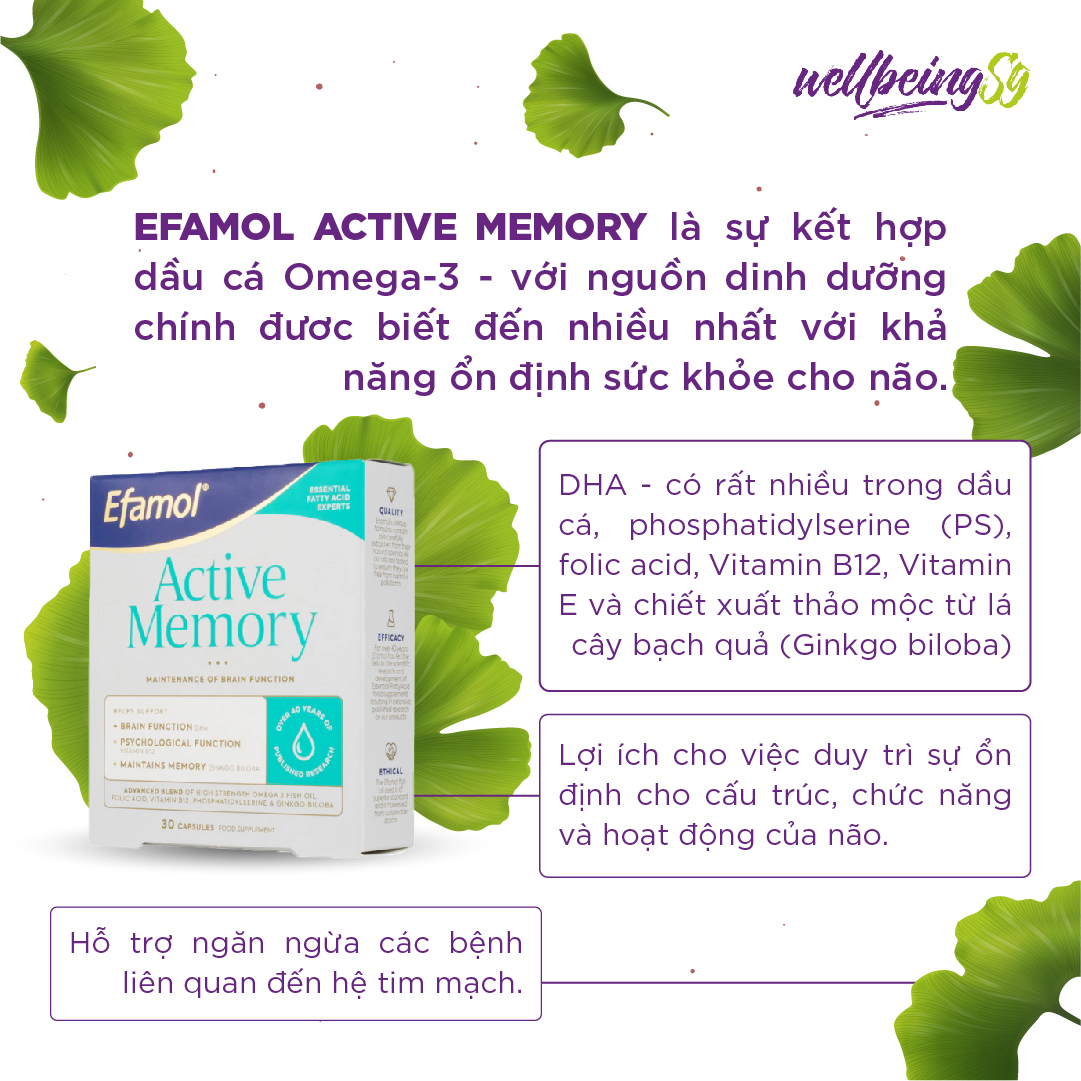 Viên Uống Bổ Sung Efamol Active Memory Hỗ Trợ Trí Nhớ Năng Động, Củng Cố Hiệu Suất Não Và Hệ Thần Kinh (30 Viên Soft Gel/ Hũ)